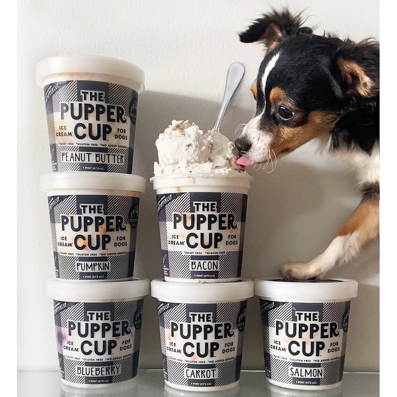 Pupper Cup Ice Cream For Dogs|Pumpkin|Bacon|Blueberry|Salmon|Peanut butter