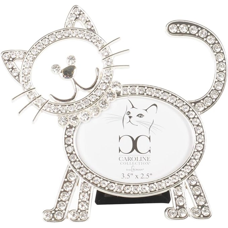 Roman Cat outline frame