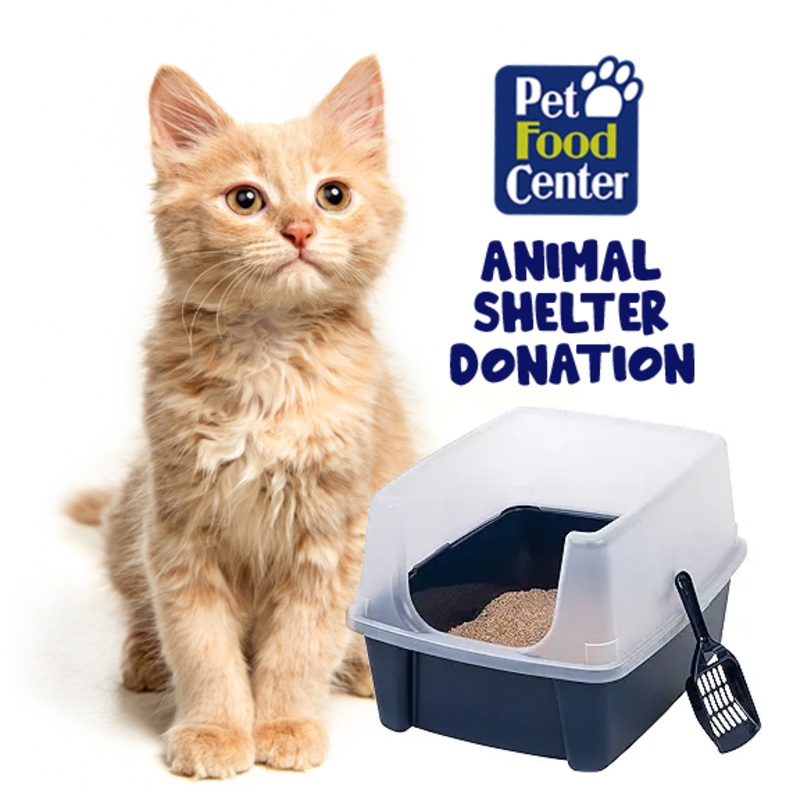 Shelter Cat Litter and Litter Box – Let us Pick for You – Paaws