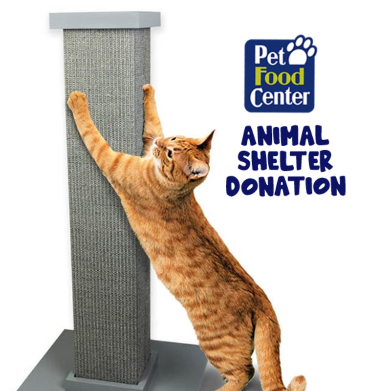Shelter Cat Scratching Post – Let us Pick for You – Feline Fix