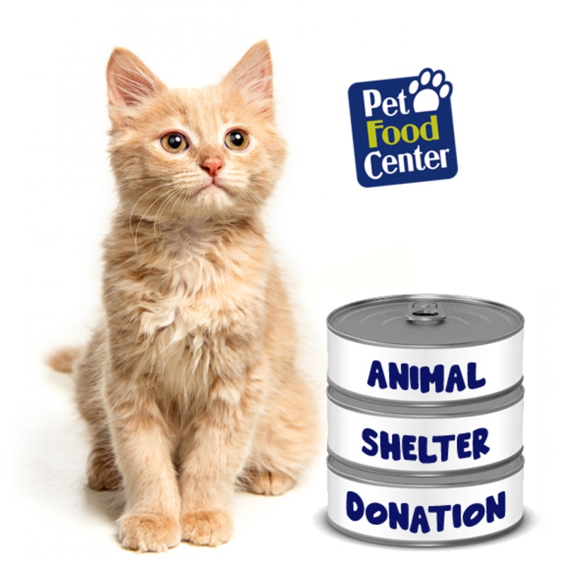 Shelter Cat Supplies – Let us Pick for You – ITV