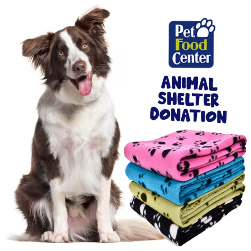 Shelter Dog Beds/Blankets – Let us Pick for You – Paw Street