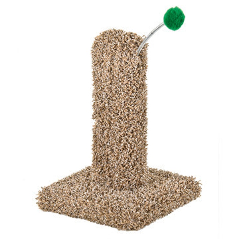 WARE KITTY CACTUS W/POM 16