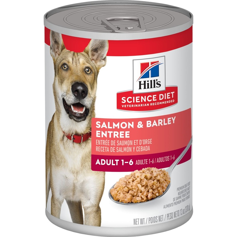 Science Diet Adult Salmon & Barley Entree’ Dog food