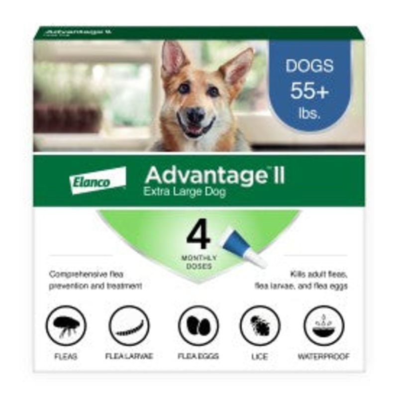 Bayer Advantage II Extra Large Dog