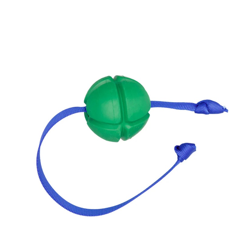 PETKORE FLOTEK DOG TUG|Medium|Large