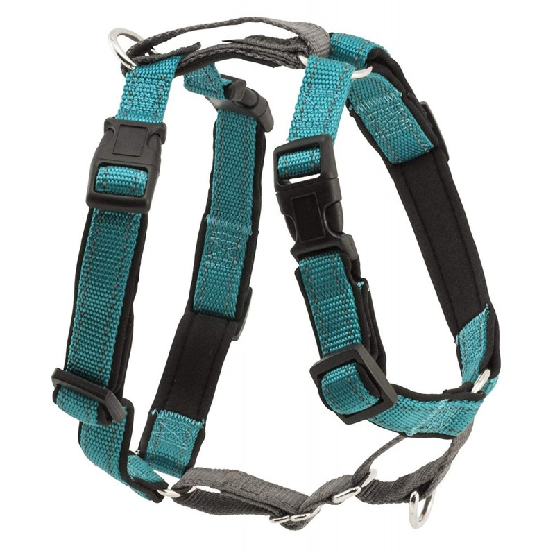 PetSafe 3 in 1 Teal Dog Harness