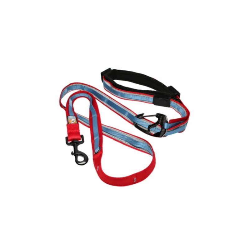 Kurgo Quantum 6 in 1 Reflective Dog Leash