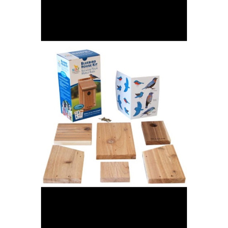 Woodlink Classic Bluebird House DIY Craft Kit