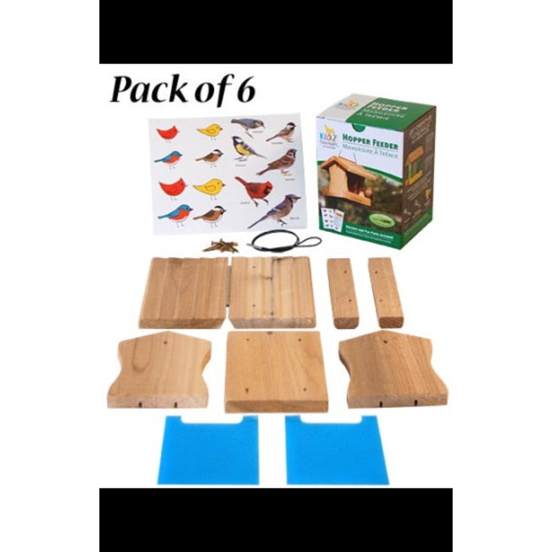 Woodlink Hopper Feeder DIY Craft Kits, Club Pack of 6