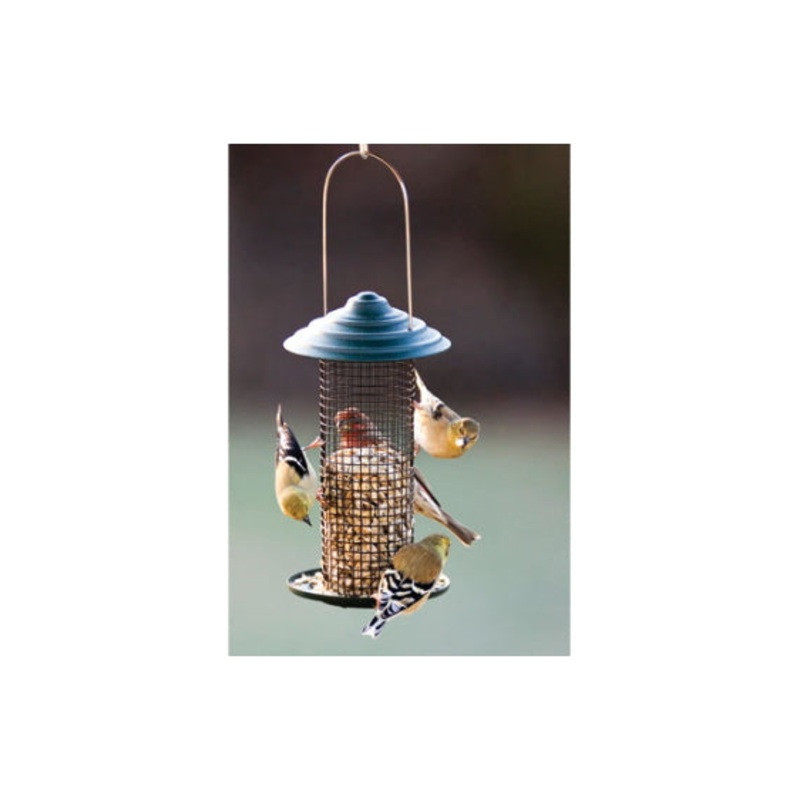 Woodlink Metal Mini Magnum Black Oil Sunflower Screen Feeder