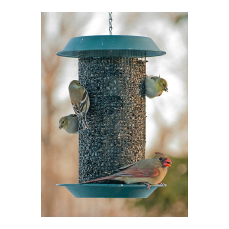 Woodlink Plastic Magnum Sunflower Screen Feeder