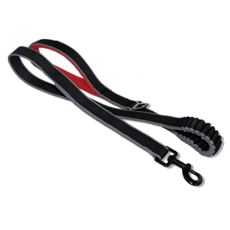KURGO SPRINGBACK LEASH 48in