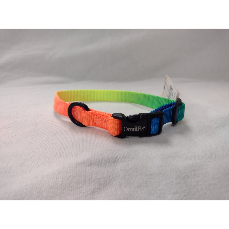 OmniPet 5/8 Rainbow Harness, Collar & Lead