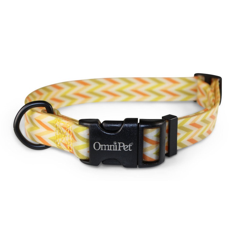 OmniPet Carmel Dog Collar & Leash