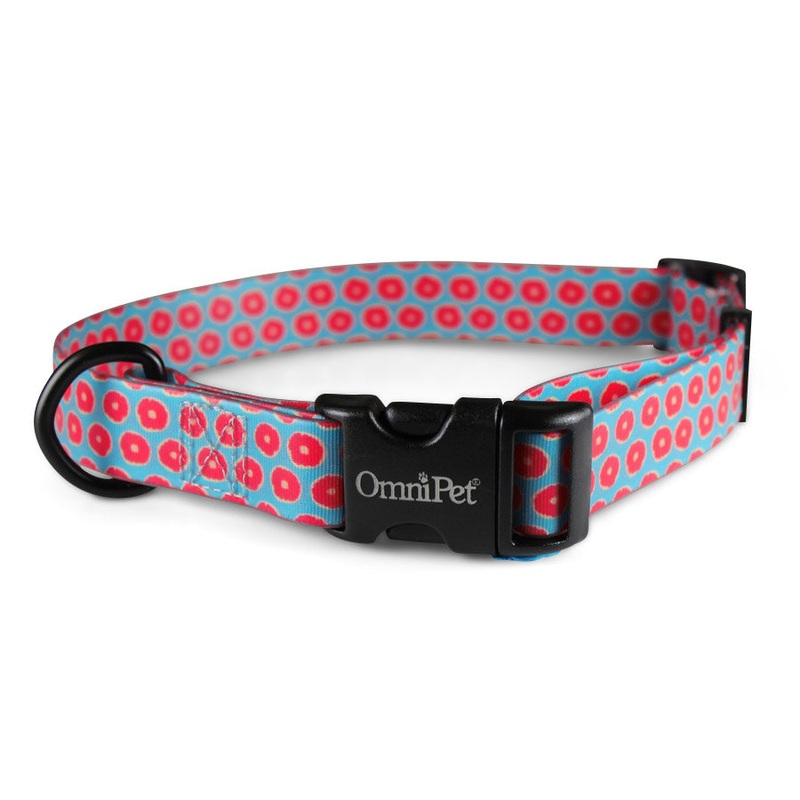 OmniPet Juicy Dog Collars & Leash
