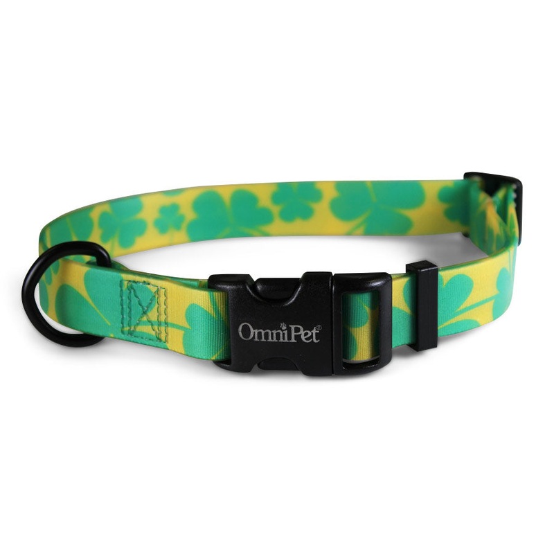 OmniPet Lucky Gold Dog Collars & Leash