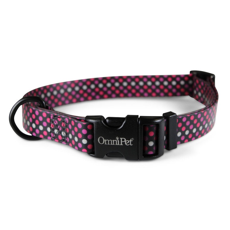 OmniPet Polka Neon Dog Collars & Leash