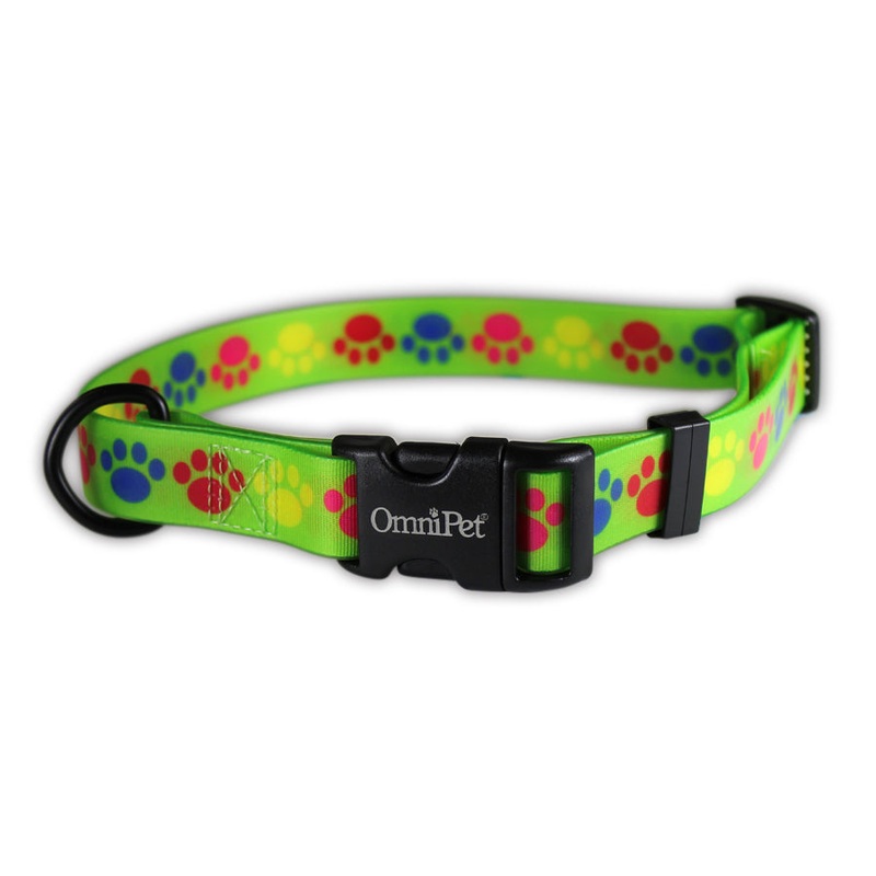 OmniPet Pop Paws Dog Collars & Leash