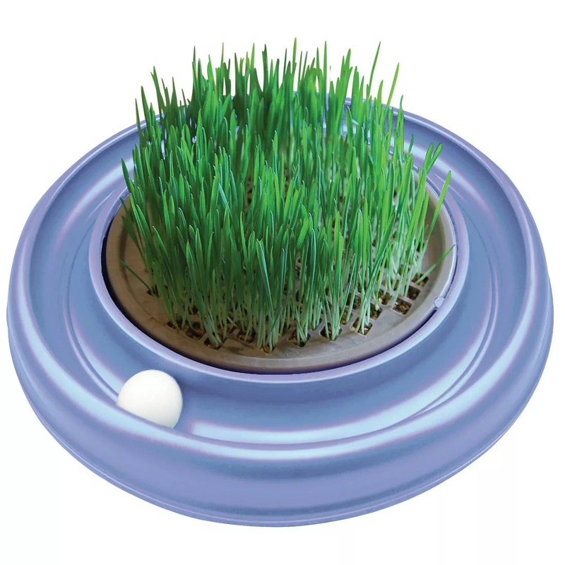 Turbo by Coastal Cat Grass|Cat Grass insert|Cat Grass refill