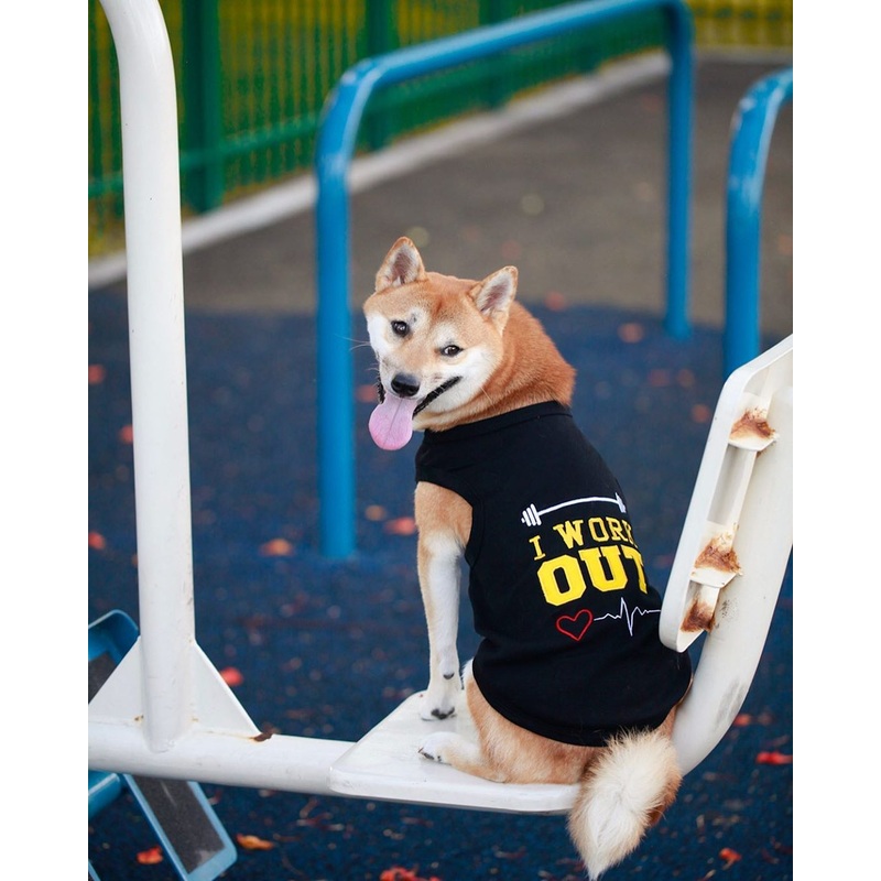 I Work Out T-shirt|XS|S|M|L