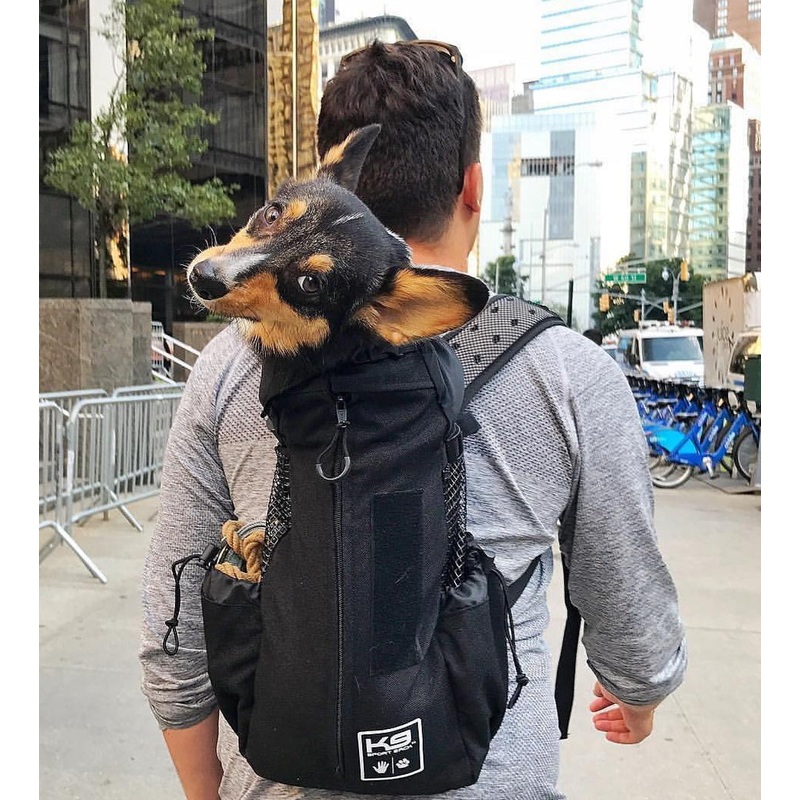 K9 Sport Sak Air Jet Black, Dog Backpack