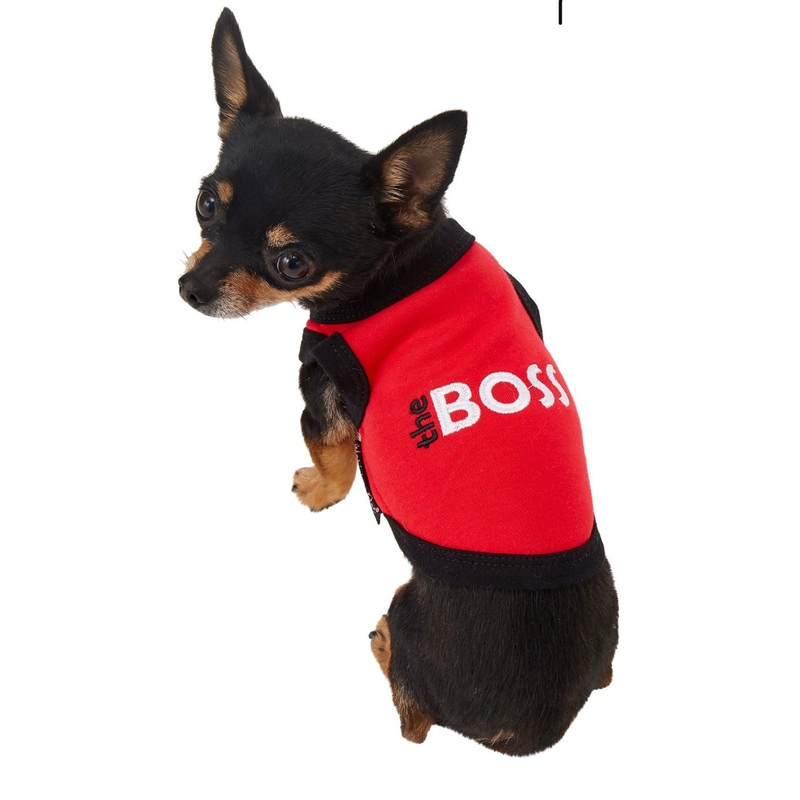 Parisian Pet The Boss Dog & Cat T-Shirt