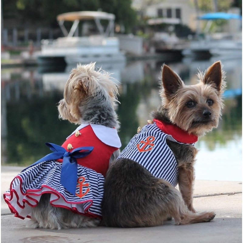 Sailor Boy Harness w/ Leash|LG|MED|SM|XS