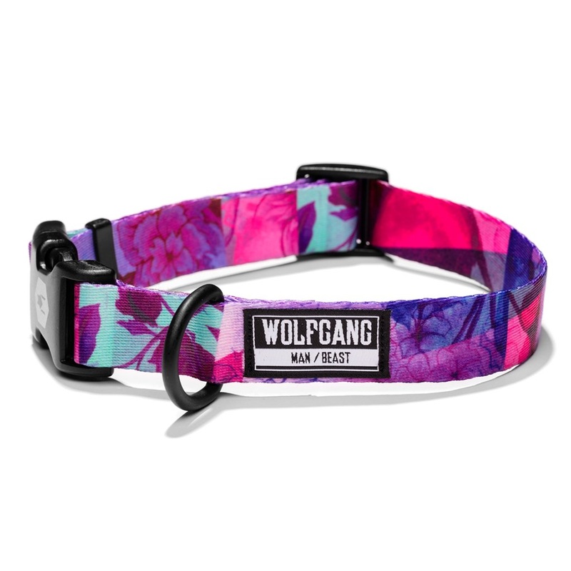 Wolfgang DayDream Dog Collar|Small (Width 5/8″ Length 8″-12″)|Medium (Width 1″ Length 12″-18″)|Large (Width 1″ Length 18″-26″)|1″ 6 Ft Leash