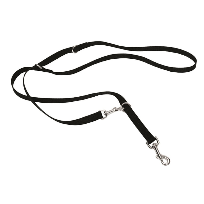 Multi-Function Dog Leash