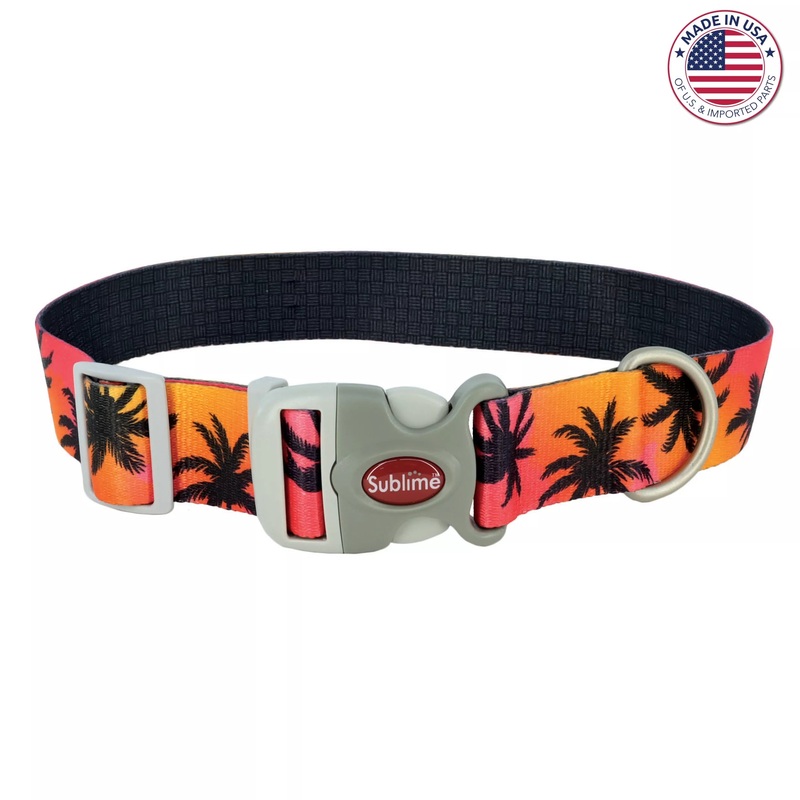 Coastal Sublime Adjustable Dog Collar – Palm Trees
