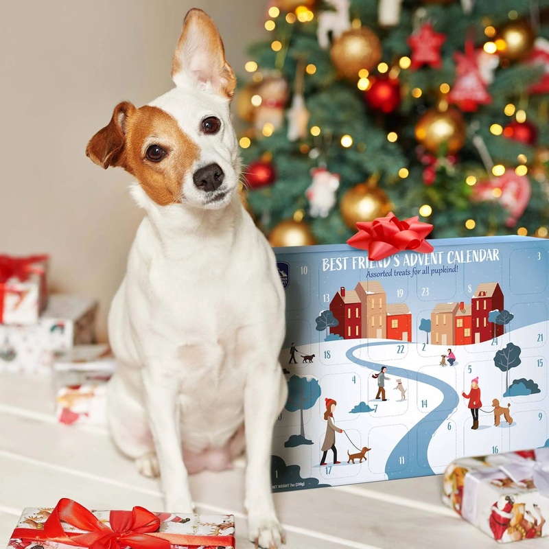 Himalayan Pet Supply Best Friend’s Advent Calendar Dog Treats