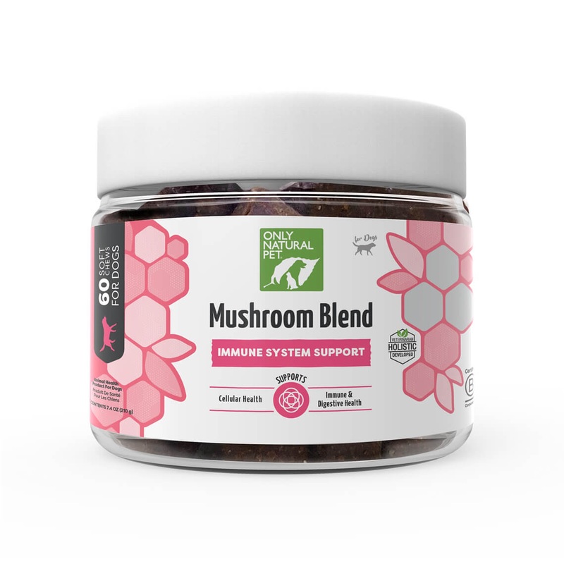 Mushroom Blend Immune System Support Supplement for Dogs