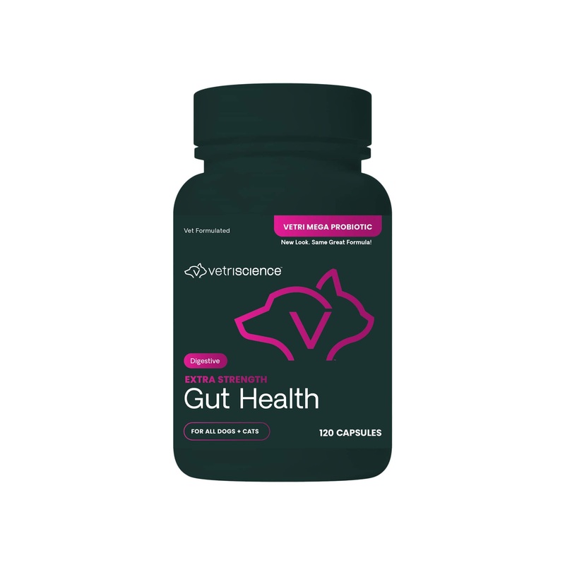 VetriScience Extra Strength Gut Health Dog & Cat Supplement