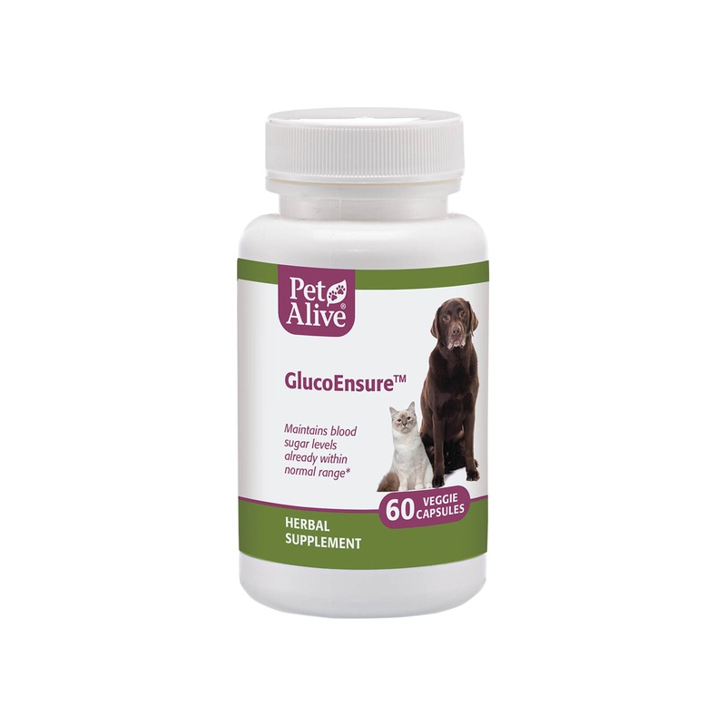 PetAlive GlucoEnsure Herbal Blood Sugar Support for Dogs & Cats