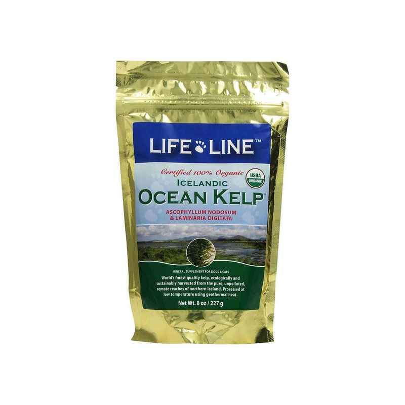 Life Line Pet Nutrition Organic Ocean Kelp 8 oz