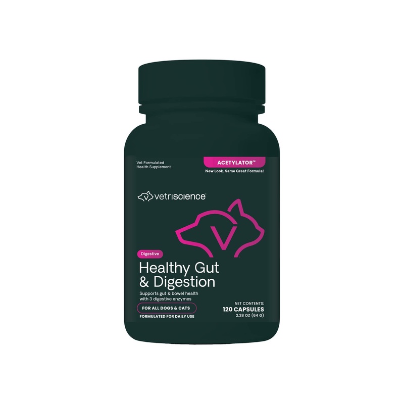 VetriScience Healthy Gut & Digestion Supplement for Dogs & Cats