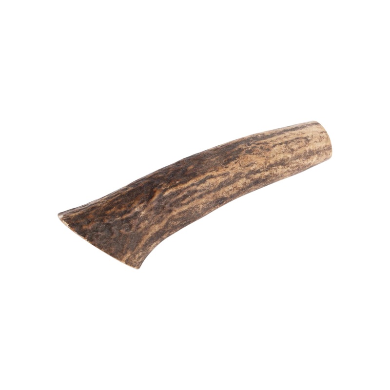 Medium Whole Elk Antler for Dogs