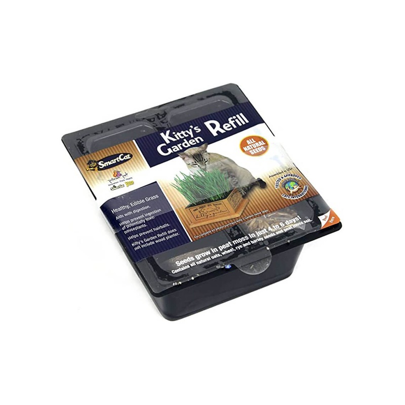 SmartCat Kitty’s Garden & Refill Kit Organic Grass Cat Treat