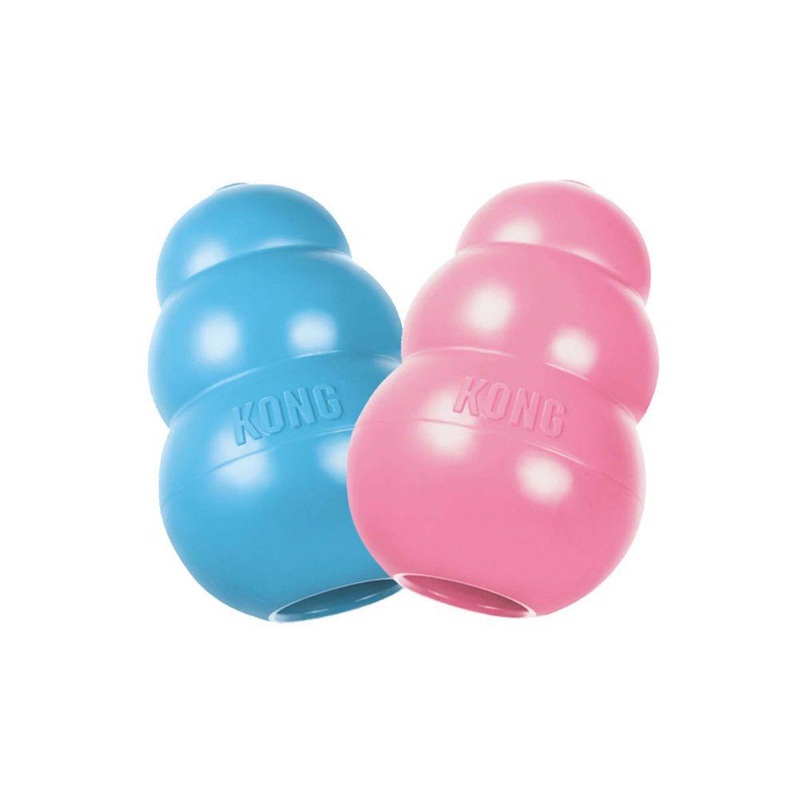 KONG Puppy Toy|Large Toy|Medium Toy|Small Toy|Extra Small Toy|Blue|Pink