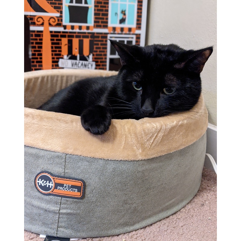 K&H Thermo-Kitty Bed Heated Cat Bed