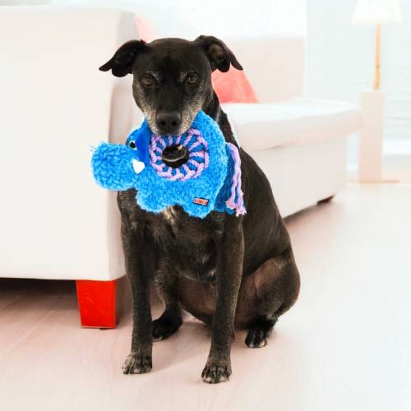 KONG Ringaroos Elephant Dog Toy