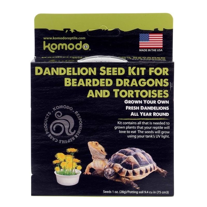 Grow Your Own Kit|Dandelion|Tortoise Grass