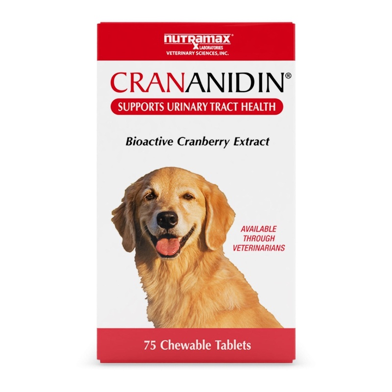 Nutramax Crananidin – Cranberry Extract Urinary Tract Health Supplement for Dogs, 75 Chewable Tablets