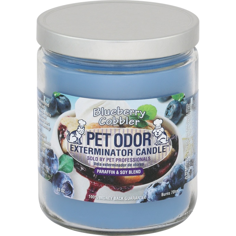 Pet Odor Exterminator Candle, Blueberry Cobbler, 13 oz