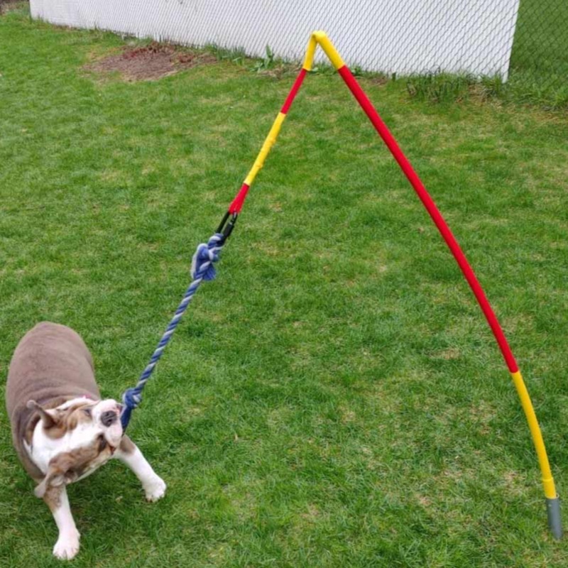 Tether Tug Dog Toy Kit with Base + Knotted Rope Toy