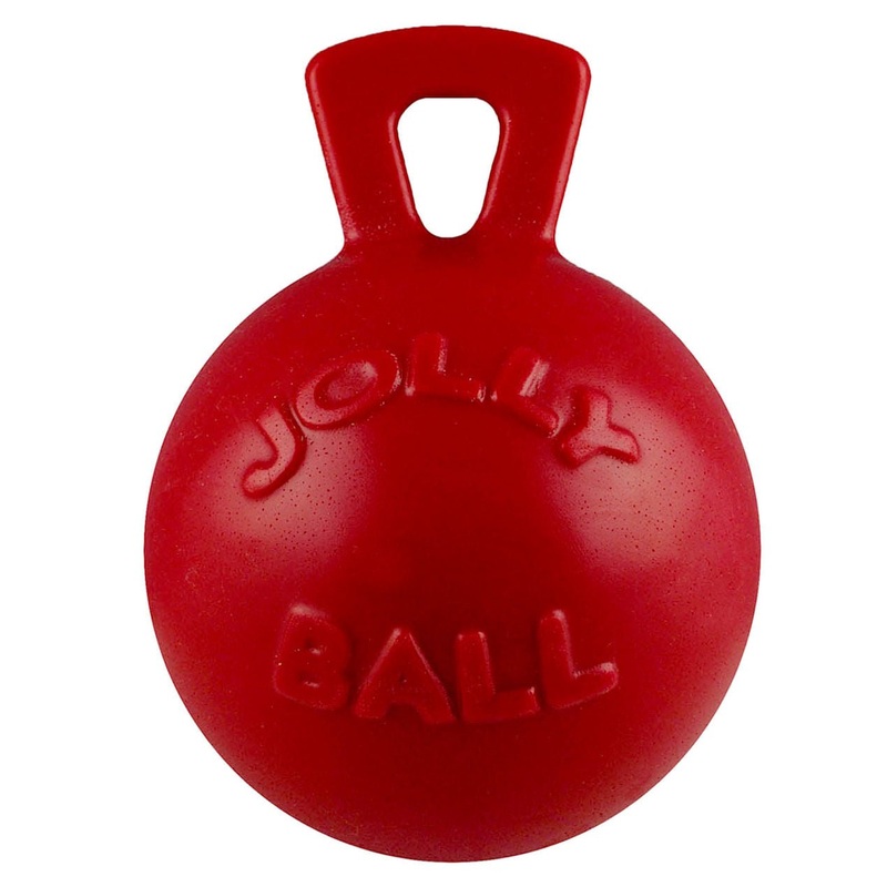 Tug-n-Toss Jolly Ball  Floating, Bouncing, Scented Dog Toy for Fetch, Water Play & Training