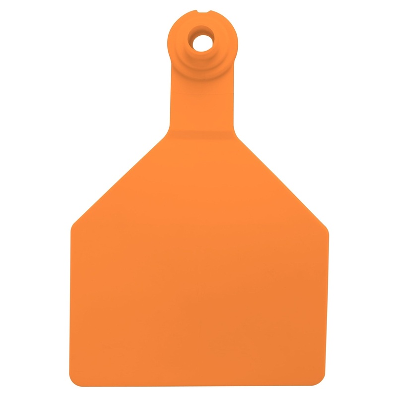 Z2 Tags – Stockman 2-Piece Blank Tags, 25 ct