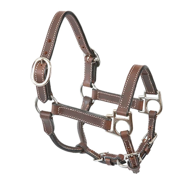 Miniature Horse Leather Halter