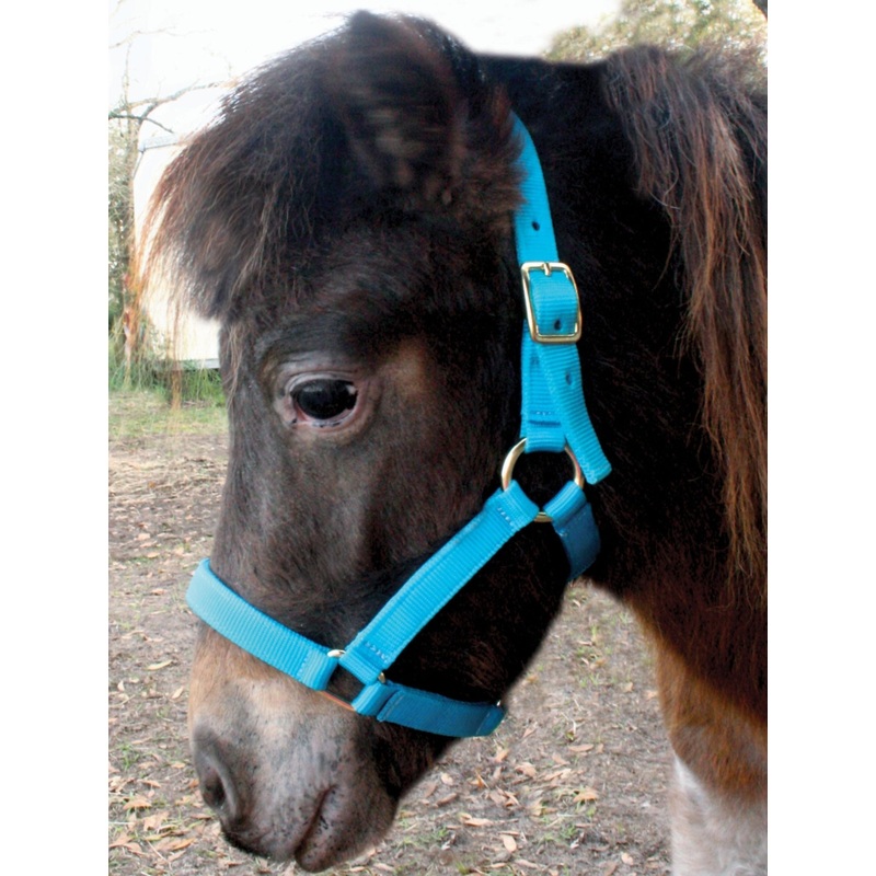 Nylon Miniature Horse Halters, 2-Ply, 3/4